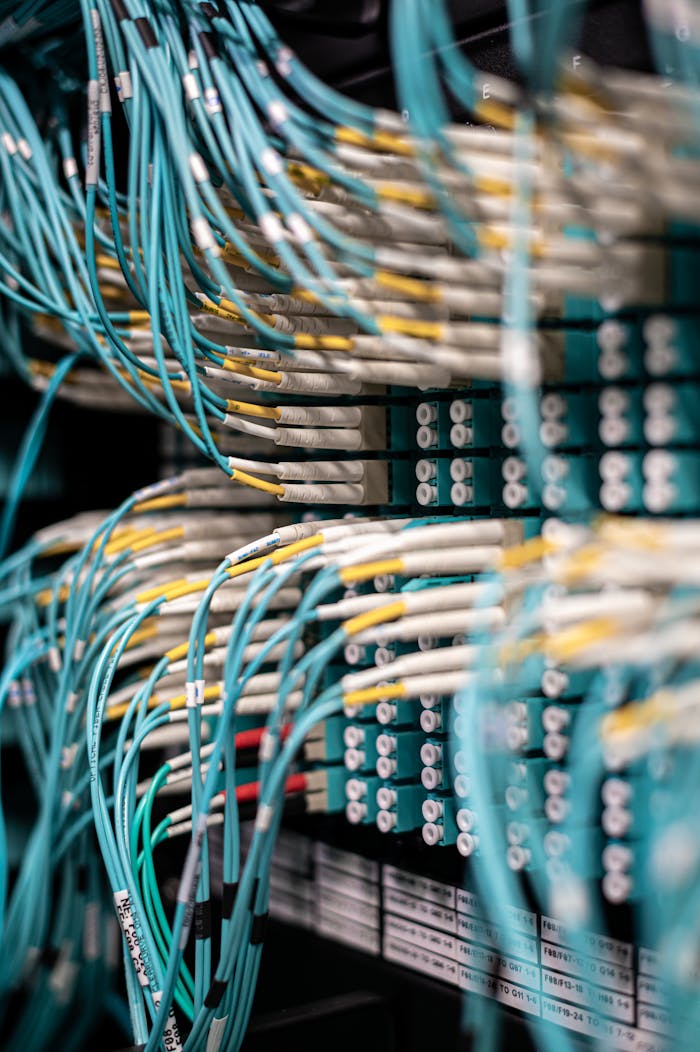services-02 Rows of blue cables and wires plugged into server patch panel located in modern data center framework